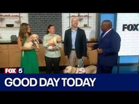 Thumbnail for the Living Colour - Guide dogs for the blind: Good Day Today link, provided by host site