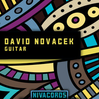 Thumbnail for the David Novacek - Guitar link, provided by host site