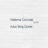Thumbnail for the Waldemar Gromolak - Guitar link, provided by host site
