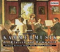 Thumbnail for the Dimov String Quartet - Guitar Quintet No. 4 in D major, G. 448, "Fandango Quintet": I. Fandango: Grave assai link, provided by host site