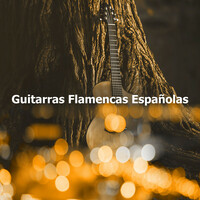 Thumbnail for the Flamenco Guitar Masters - Guitarras Flamencas Españolas link, provided by host site
