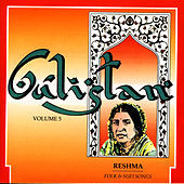 Thumbnail for the Reshma - Gulistan Volume 5 link, provided by host site