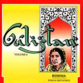 Thumbnail for the Reshma - Gulistan Volume 6 link, provided by host site