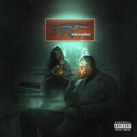Thumbnail for the IDontKnowJeffery - Gun License link, provided by host site