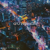 Thumbnail for the FEiN - Gunner link, provided by host site