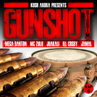 Thumbnail for the Kush Arora - Gunshot Riddim link, provided by host site