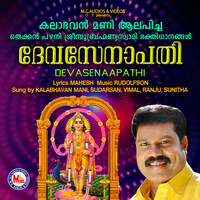 Thumbnail for the Sunitha - Gurunaathan link, provided by host site
