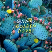 Thumbnail for the Quivers - Gutters of Love link, provided by host site