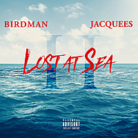 Thumbnail for the Birdman - GWSC link, provided by host site