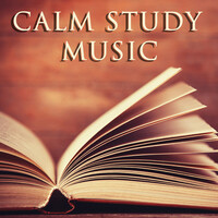 Thumbnail for the Study Music Academy - Gymnopedie link, provided by host site