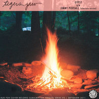 Thumbnail for the Tigers Jaw - Gypsy link, provided by host site