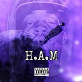 Thumbnail for the Hyph Life - H.A.M link, provided by host site