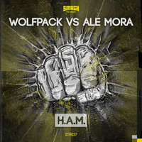 Thumbnail for the Wolfpack - H.A.M link, provided by host site