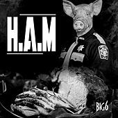 Thumbnail for the Big 6 - H.A.M link, provided by host site
