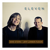Thumbnail for the Mike Stern - Ha Ha Hotel link, provided by host site