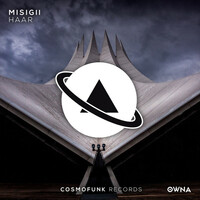 Thumbnail for the MISIGII - Haar link, provided by host site