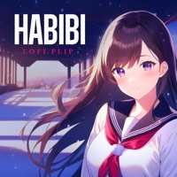 Thumbnail for the Asim Azhar - Habibi (Lofi Flip) link, provided by host site