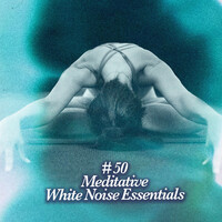 Image of Zen Meditation and Natural White Noise and New Age Deep Massage linking to their artist page due to link from them being at the top of the main table on this page