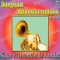 Thumbnail for the Banda Sinaloense Los Recoditos - Hablandote Claro link, provided by host site