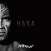 Thumbnail for the Minow - Haka link, provided by host site