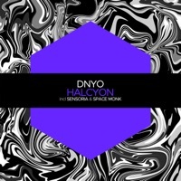 Thumbnail for the DNYO - Halcyon link, provided by host site