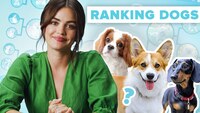 Thumbnail for the Lucy Hale - Ranks The Cutest Dog Breeds link, provided by host site