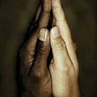 Thumbnail for the Bulb - Hallelujah link, provided by host site