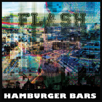 Thumbnail for the Flash - Hamburger Bars link, provided by host site