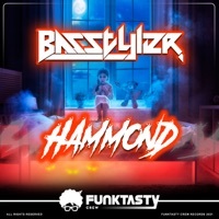 Thumbnail for the Basstyler - Hammond link, provided by host site