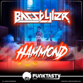 Thumbnail for the Basstyler - Hammond link, provided by host site