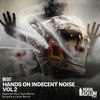 Thumbnail for the Indecent Noise - Hands On Indecent Noise Vol 2 link, provided by host site