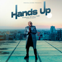 Thumbnail for the Professor Jay - Hands Up link, provided by host site