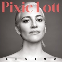 Thumbnail for the Pixie Lott - Happy link, provided by host site