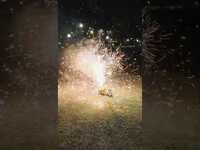 Thumbnail for the The Dead South - Happy 4th of July to all our American pals! link, provided by host site