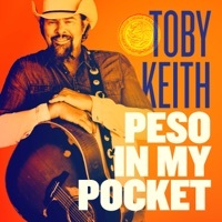 Thumbnail for the Toby Keith - Happy Birthday America link, provided by host site