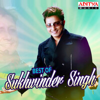 Thumbnail for the Udit Narayan - Happy Happy - From "Vishnu" link, provided by host site