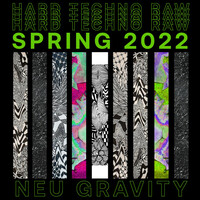 Thumbnail for the MISIGII - HARD TECHNO RAW 2022Spring Edition link, provided by host site