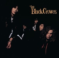 Thumbnail for the The Black Crowes - Hard To Handle link, provided by host site