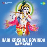 Thumbnail for the Pithukuli Murugadas - Hari Krishna Govinda (Namavali) link, provided by host site