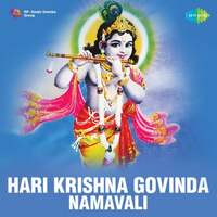 Thumbnail for the Pithukuli Murugadas - Hari Krishna Govinda (Namavali) link, provided by host site