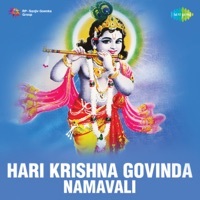 Thumbnail for the Pithukuli Murugadas - Hari Krishna Govinda (Namavali) link, provided by host site