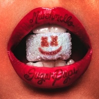 Image of Marshmello linking to their artist page due to link from them being at the top of the main table on this page