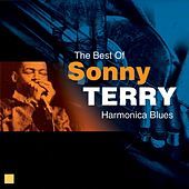 Thumbnail for the Sonny Terry - Harmonica Blues (The Best Of) link, provided by host site