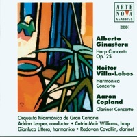 Thumbnail for the Gianluca Littera - Harmonica Concerto: Andante link, provided by host site