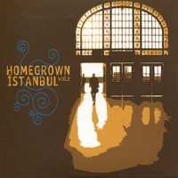 Thumbnail for the Mehmet Güreli - Harmony link, provided by host site