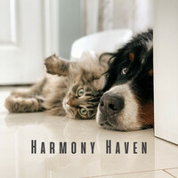 Thumbnail for the Relaxing White Noise - Harmony Haven: White Noise for Calming Anxious Pets link, provided by host site