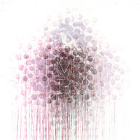 Image of Gareth Davis linking to their artist page due to link from them being at the top of the main table on this page