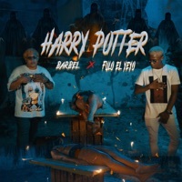 Thumbnail for the Barbel - Harry Potter link, provided by host site