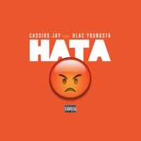 Thumbnail for the Cassius Jay - HATA link, provided by host site