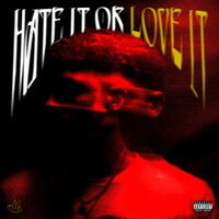 Thumbnail for the LLD - Hate it or Love it link, provided by host site